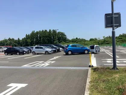 Kasyno Spice Bingo Aplikacja mobilna